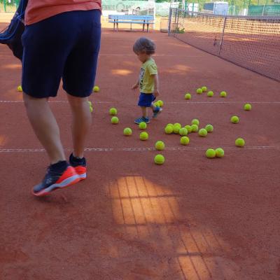 Michael collect tennis balls